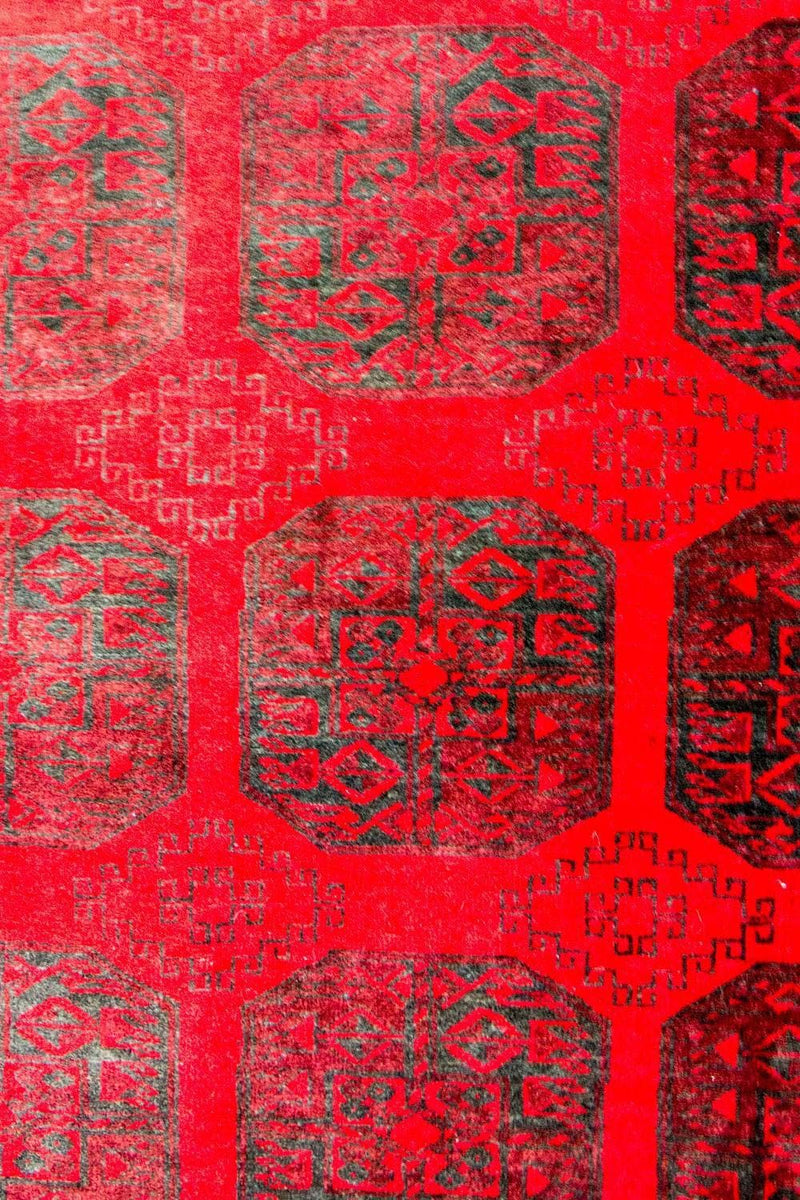Tappeto afgano - Bukhara - 292 x 203 cm - rosso