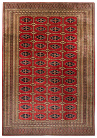 Tappeto afgano - Bukhara - 292 x 188 cm - rosso