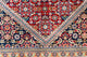 Bidjar Tappeto - Tappeto orientale