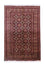 Tappeto afgano - 283 x 201 cm - marrone