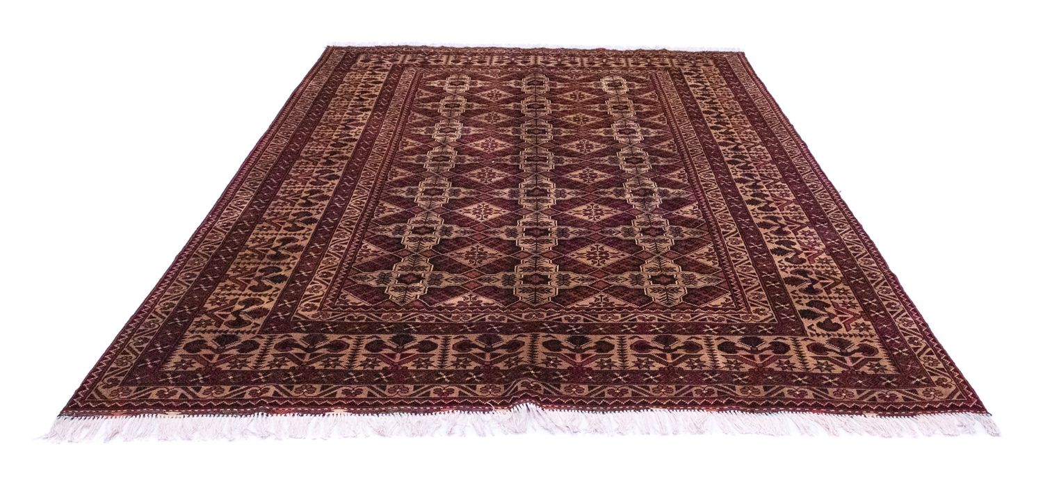 Tappeto afgano - 283 x 201 cm - marrone
