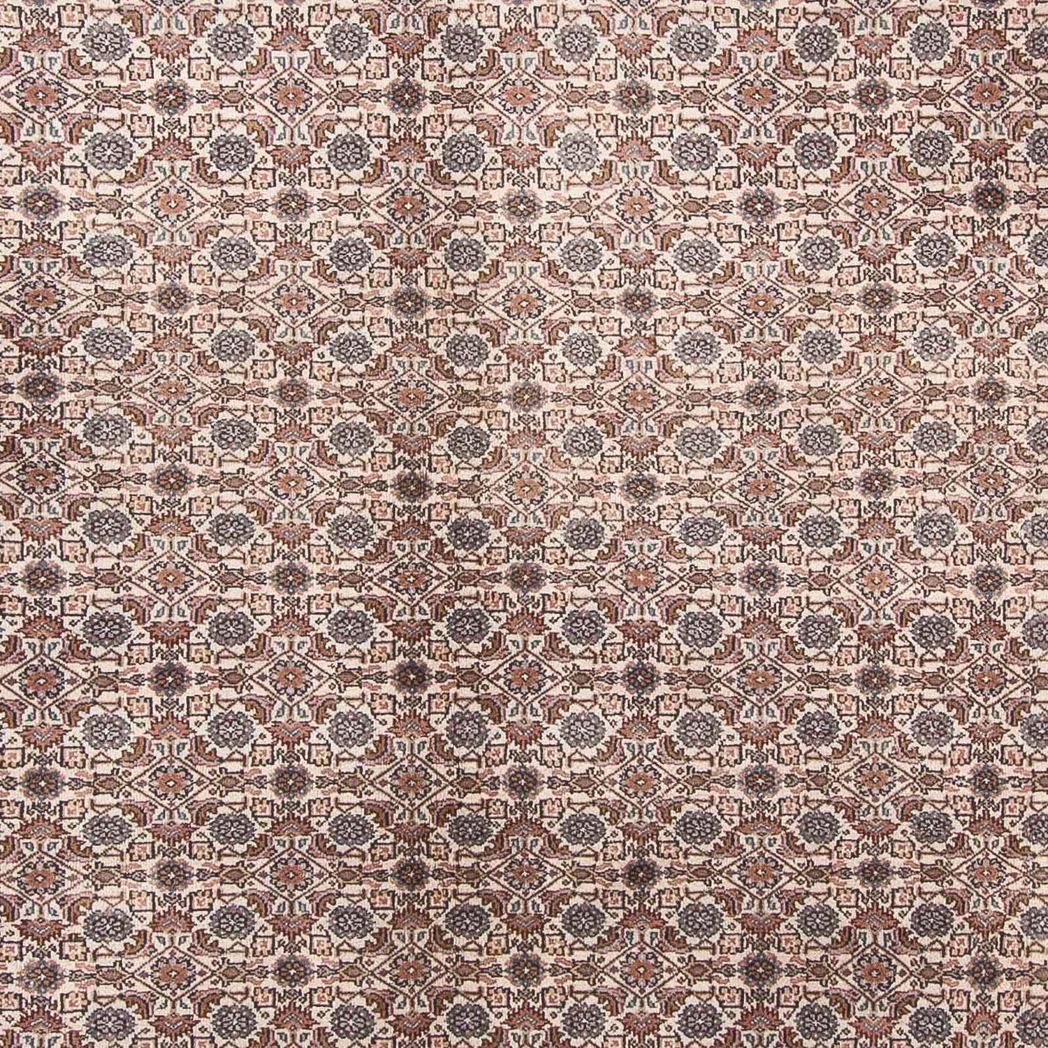 Tappeto orientale - Bidjar - Indo - 347 x 243 cm - beige