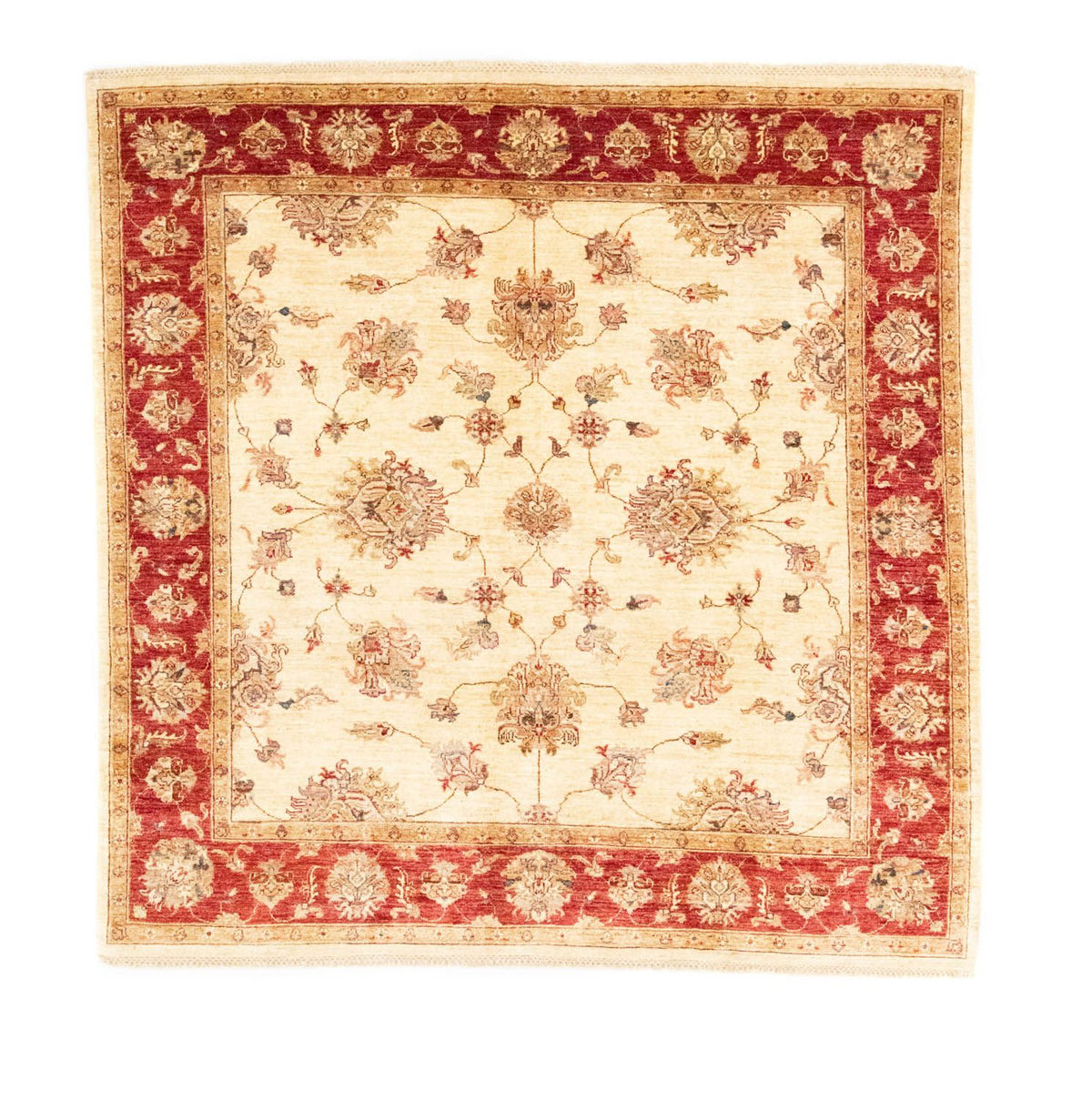 Tappeto Ziegler quadrato  - 206 x 204 cm - beige