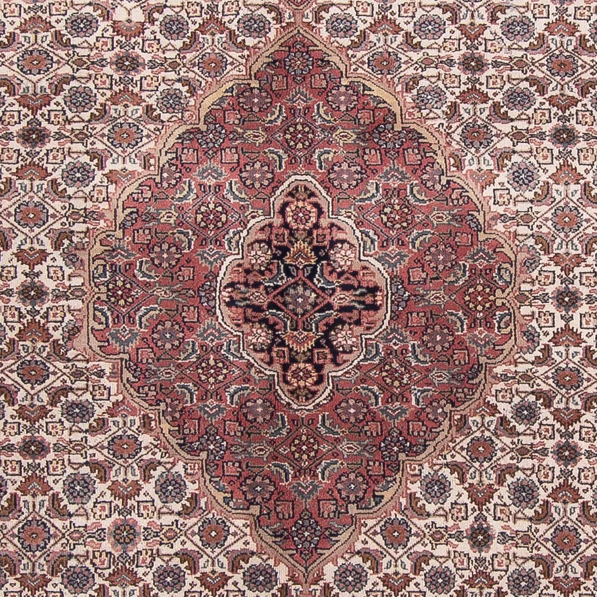 Tappeto orientale - Bidjar - Indo - 303 x 245 cm - beige