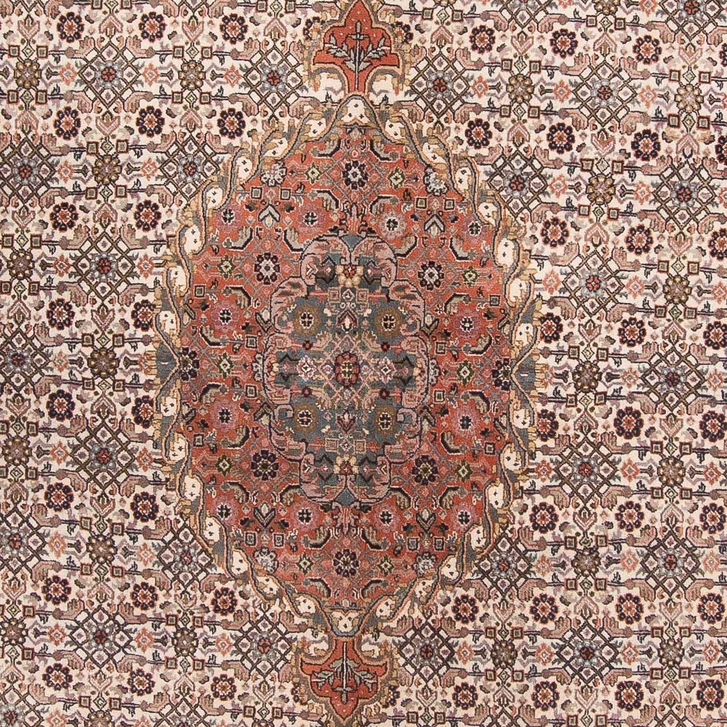 Tappeto orientale - Bidjar - Indo - 338 x 243 cm - beige