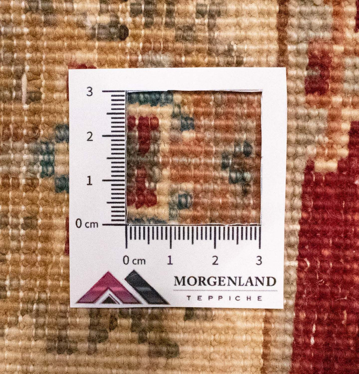 Tappeto Ziegler - 94 x 61 cm - rosso