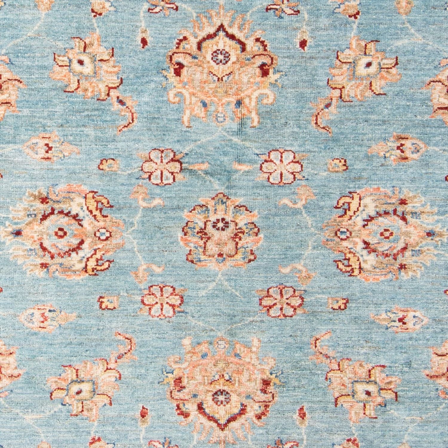Tappeto Ziegler - 181 x 126 cm - blu chiaro