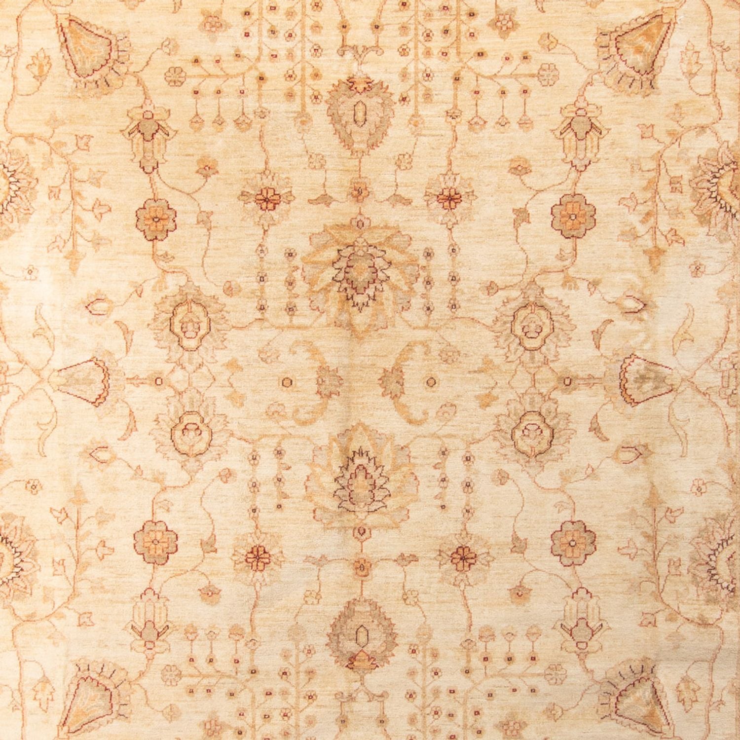 Tappeto Ziegler - 406 x 288 cm - beige