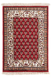 Mir Indo Tappeto 60x90cm - Tappeto orientale - Rettangolo / Rosso / 60 x 90 cm Rettangolo