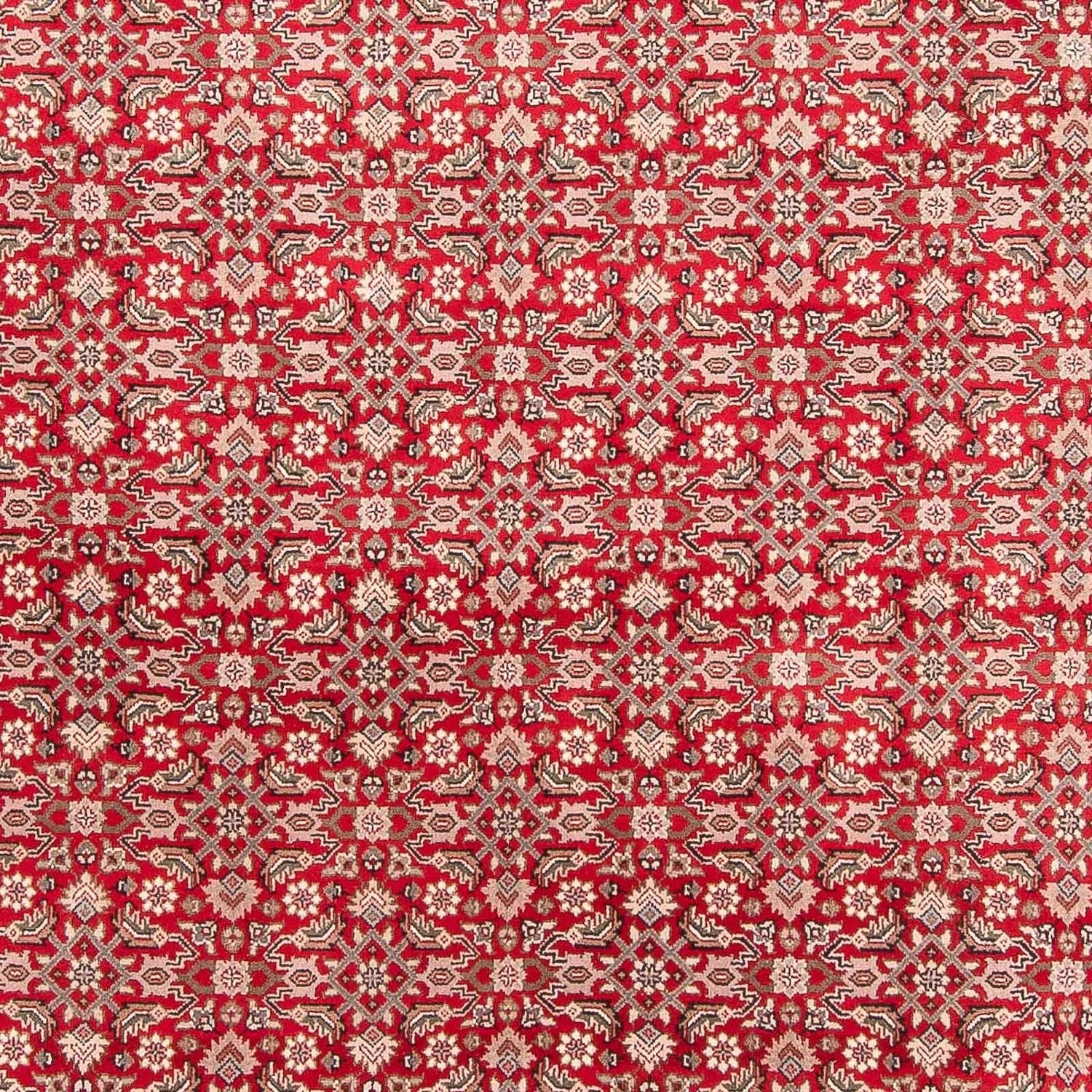 Tappeto orientale - Bidjar - Indo - 352 x 237 cm - rosso