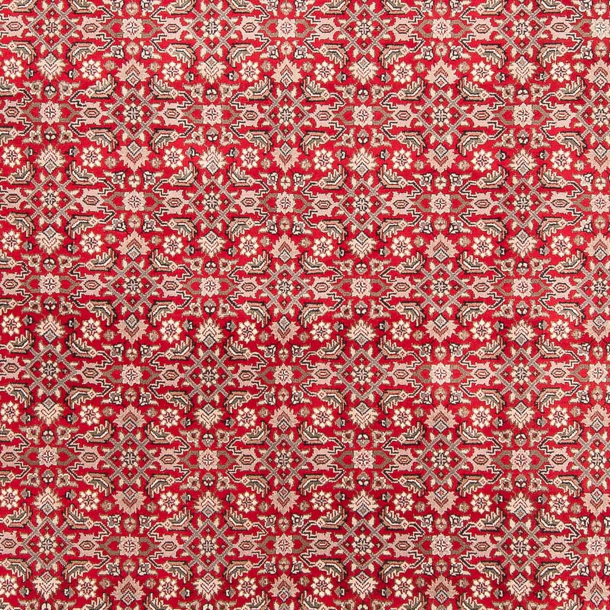 Tappeto orientale - Bidjar - Indo - 352 x 237 cm - rosso
