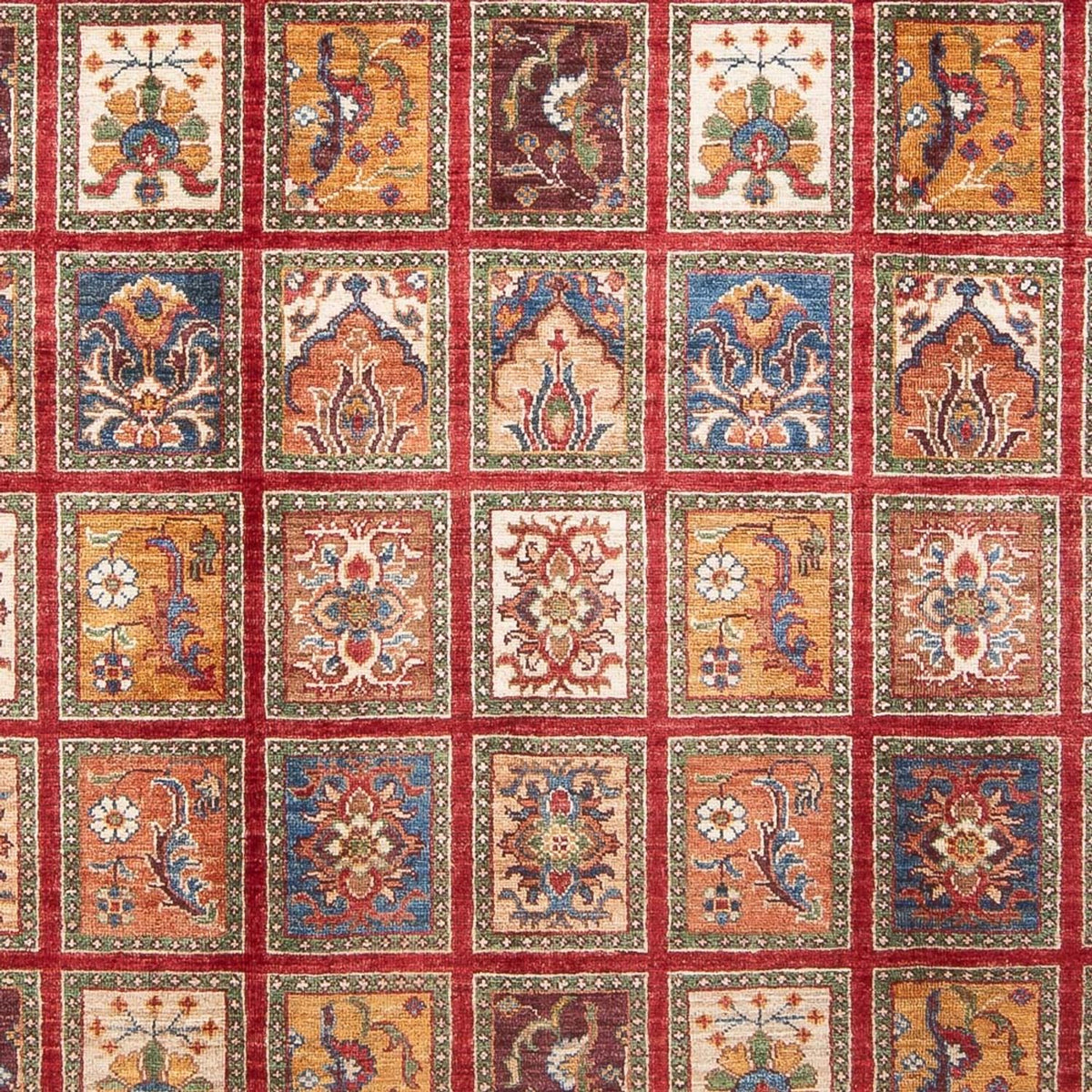 Tappeto Ziegler - Bakhtiari - 237 x 176 cm - multicolore