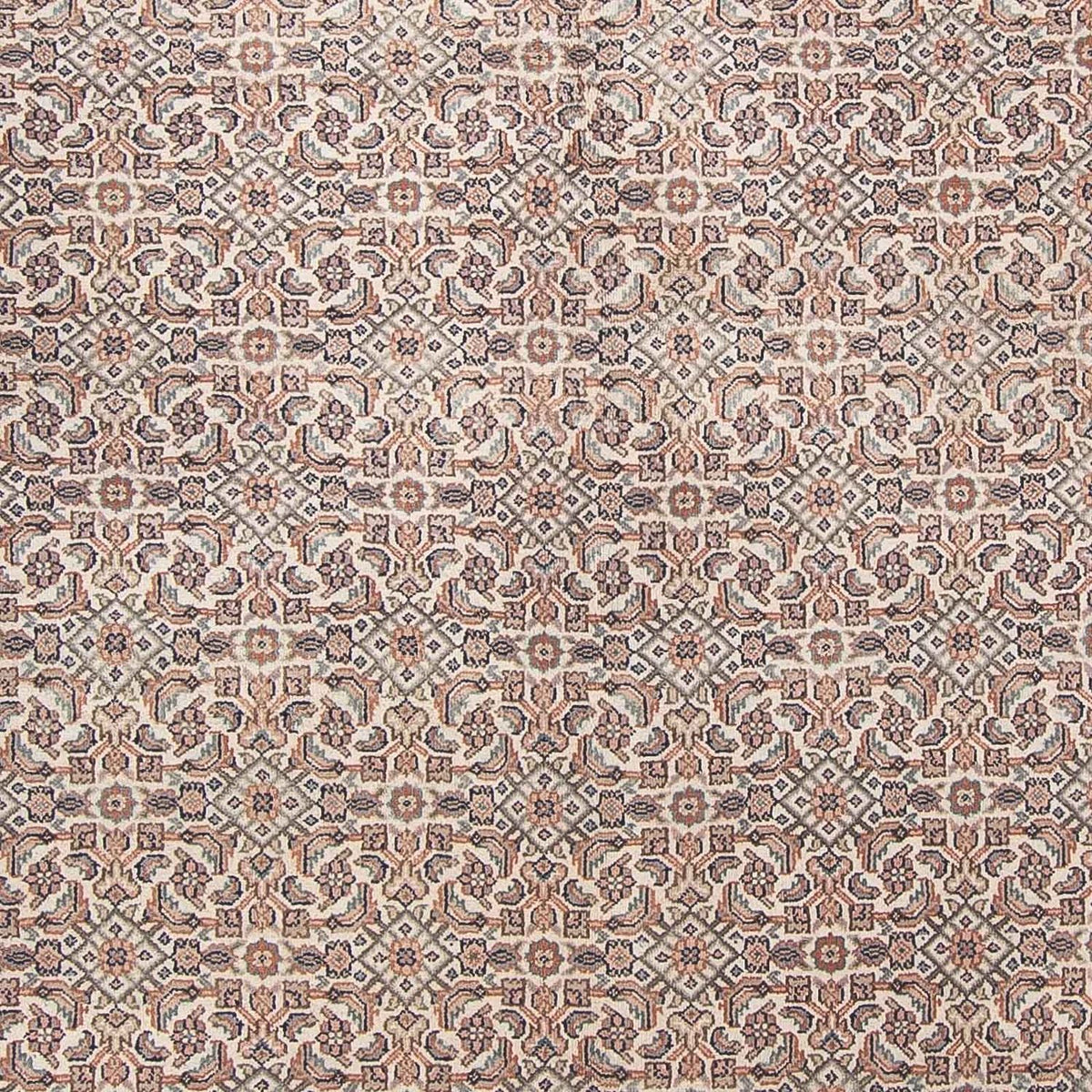 Tappeto orientale - Bidjar - Indo - 303 x 244 cm - beige