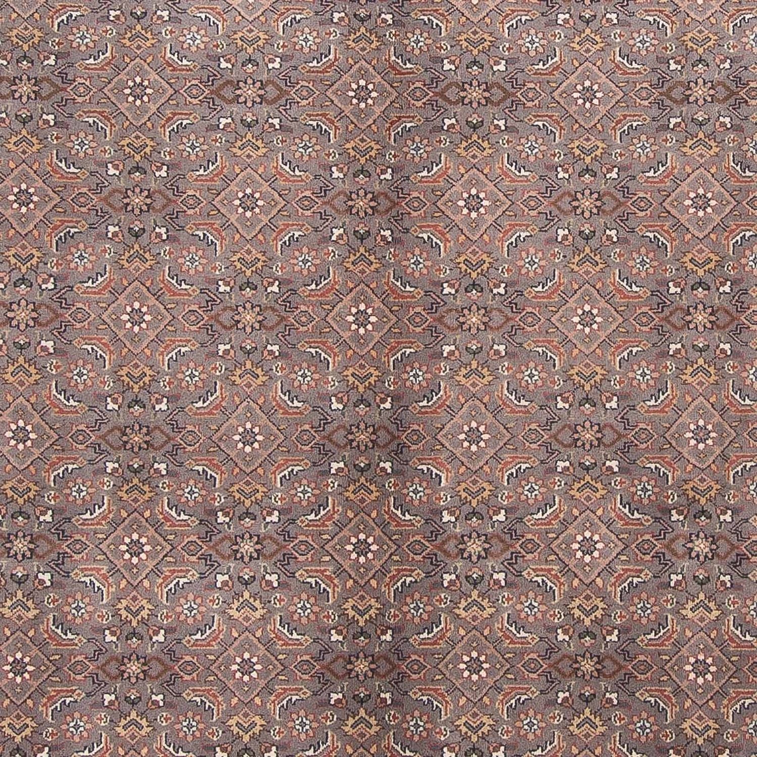 Tappeto orientale - Bidjar - Indo - 299 x 248 cm - marrone scuro