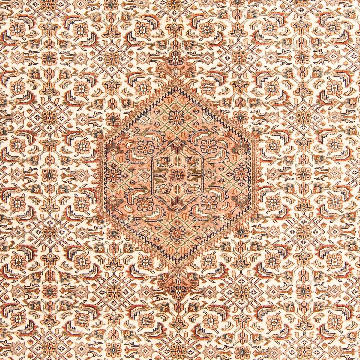 Tappeto orientale - Bidjar - Indo - 242 x 173 cm - beige