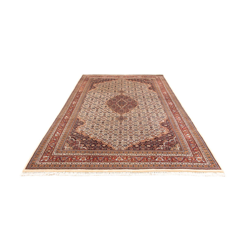 Tappeto orientale - Bidjar - Indo - 305 x 196 cm - beige