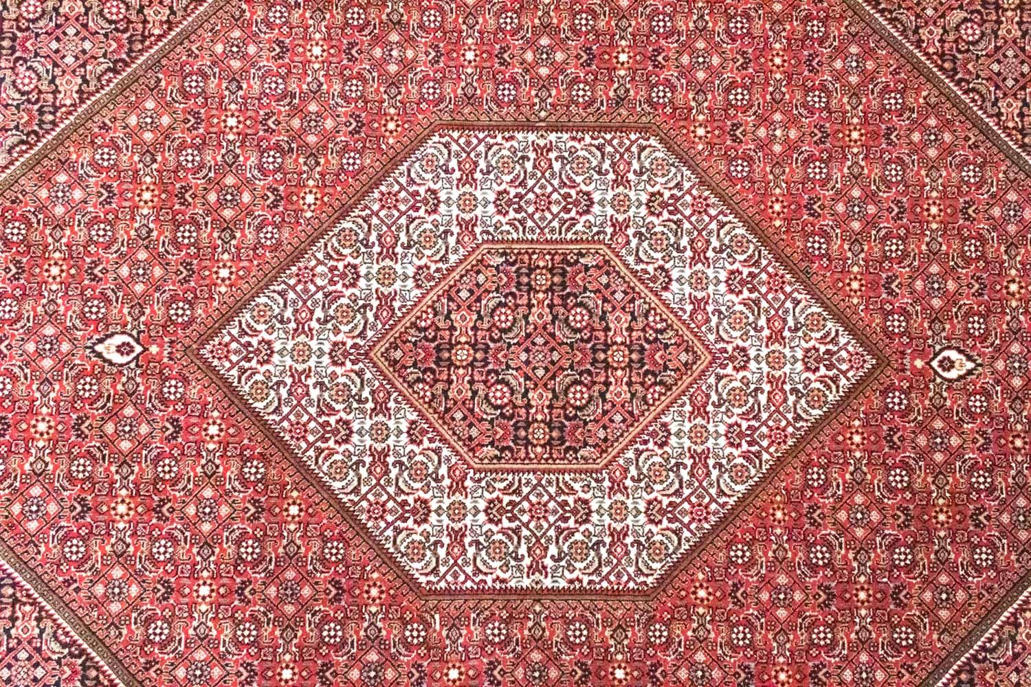 Tappeto Persero - Bidjar - 286 x 208 cm - rosso