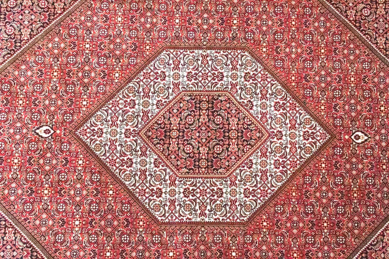 Tappeto Persero - Bidjar - 286 x 208 cm - rosso