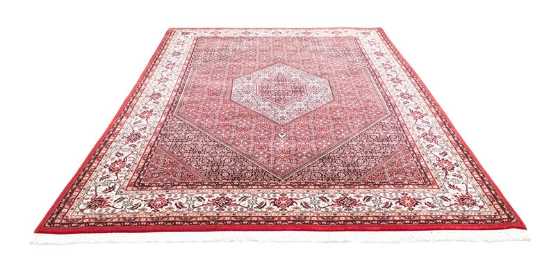 Tappeto Persero - Bidjar - 286 x 208 cm - rosso