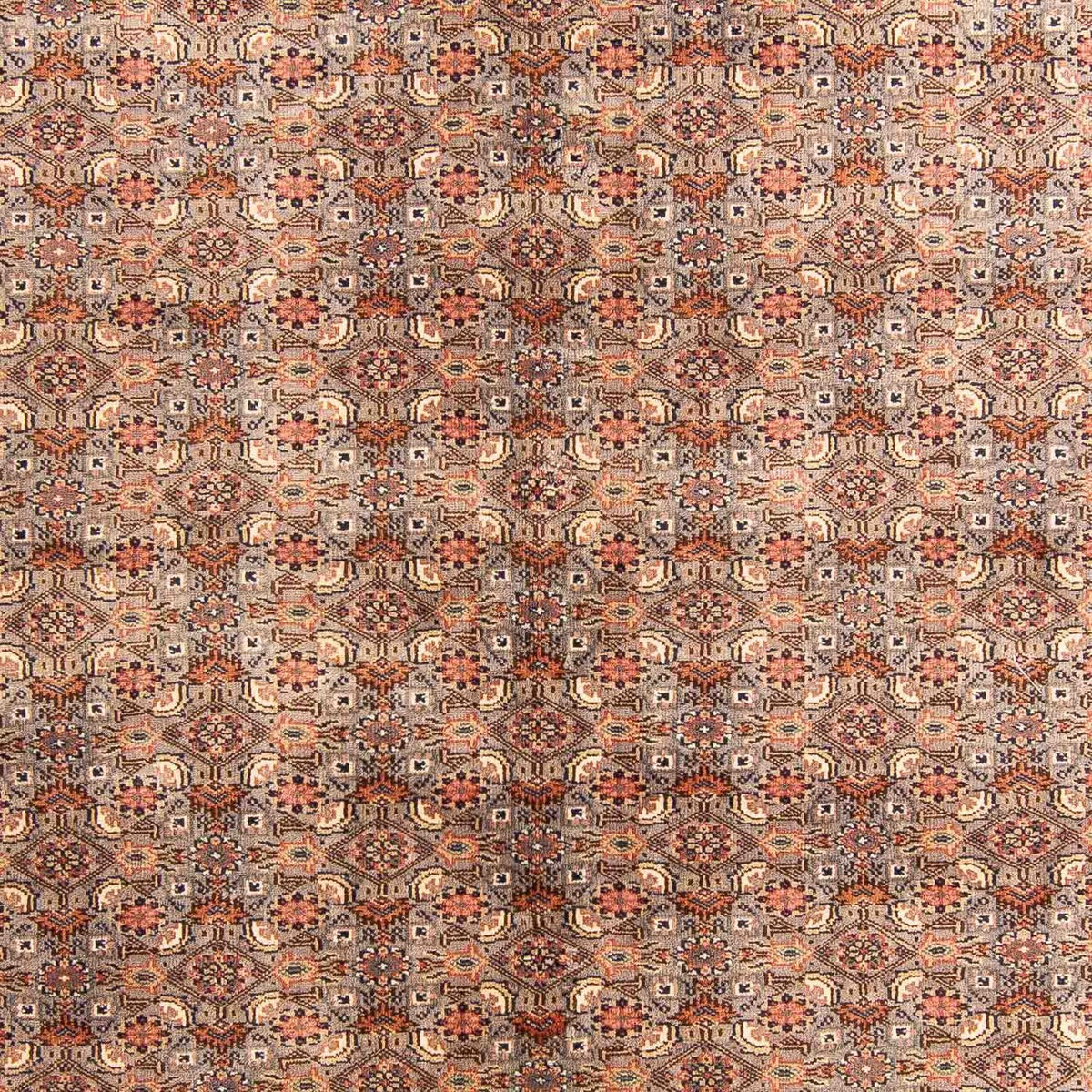 Tappeto orientale - Bidjar - Indo - 233 x 181 cm - multicolore