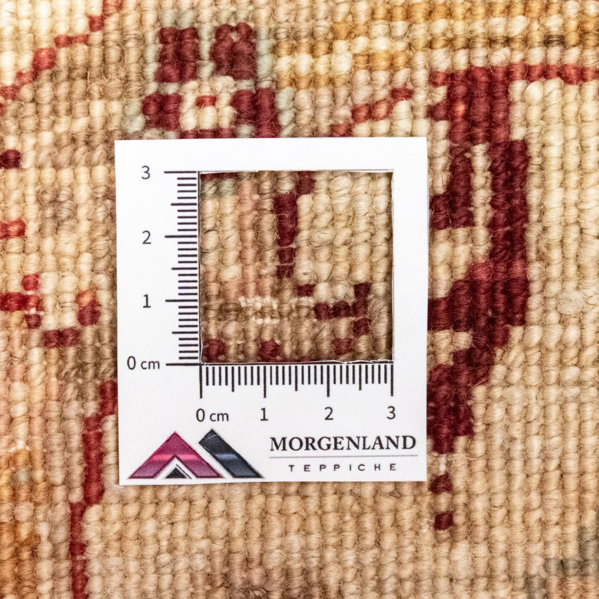 Tappeto Ziegler - 247 x 166 cm - rosso