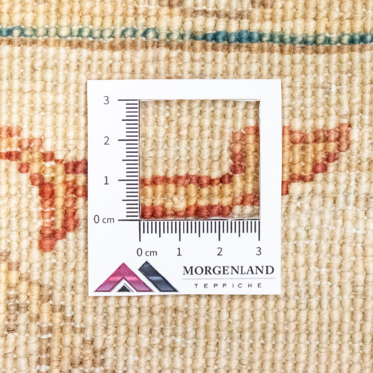 Tappeto Ziegler - 253 x 178 cm - blu