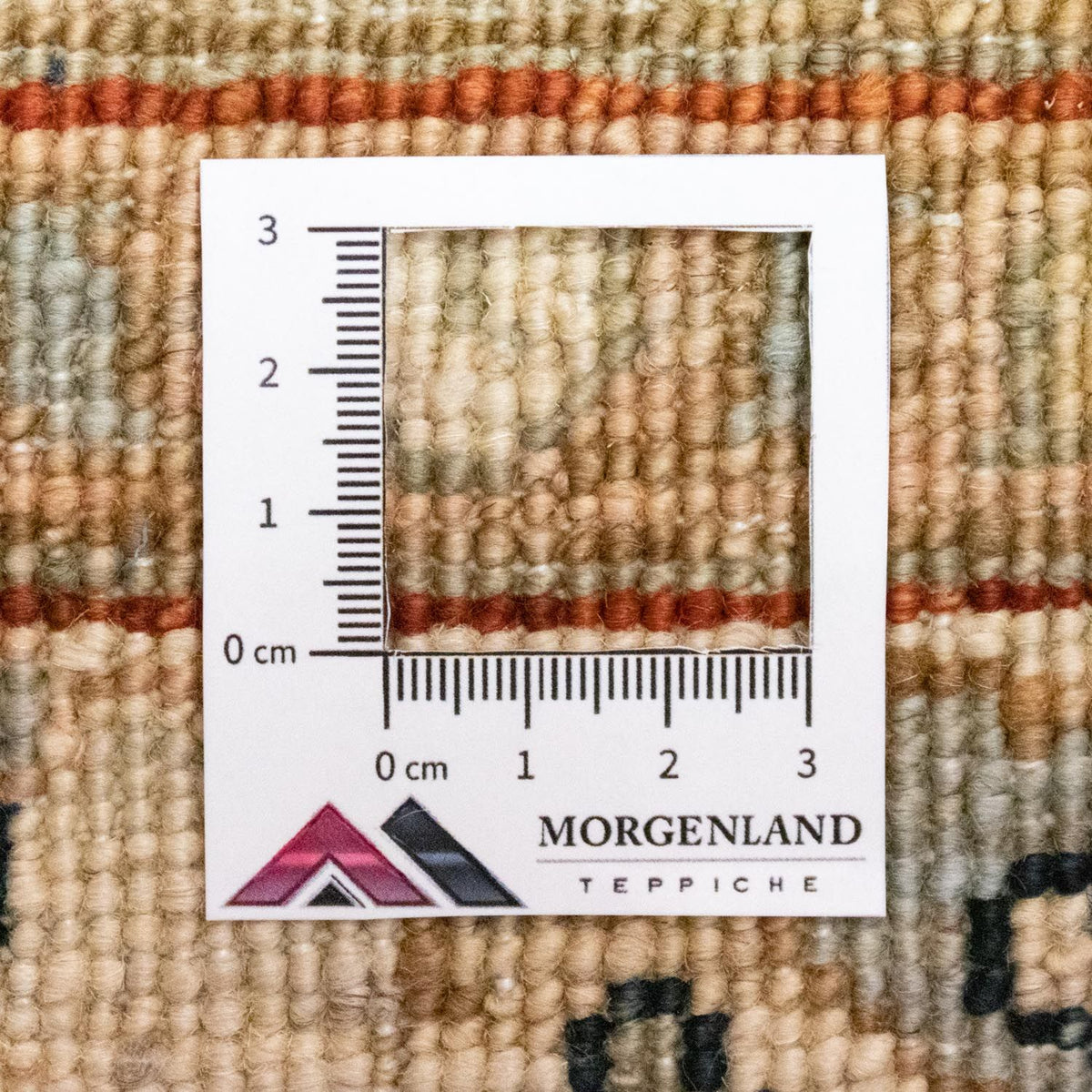 Tappeto Ziegler - 258 x 173 cm - blu