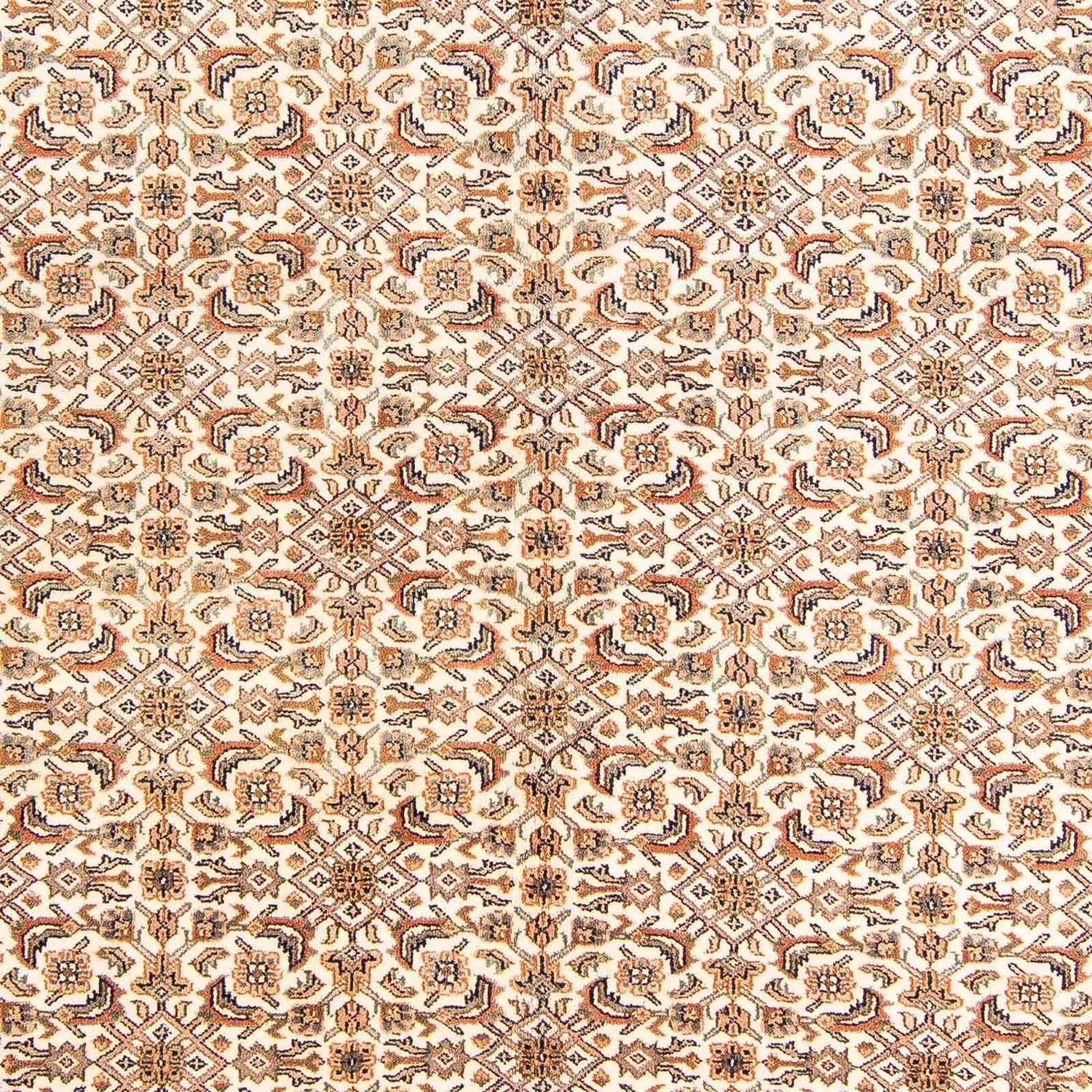 Tappeto orientale - Bidjar - Indo - 235 x 173 cm - beige