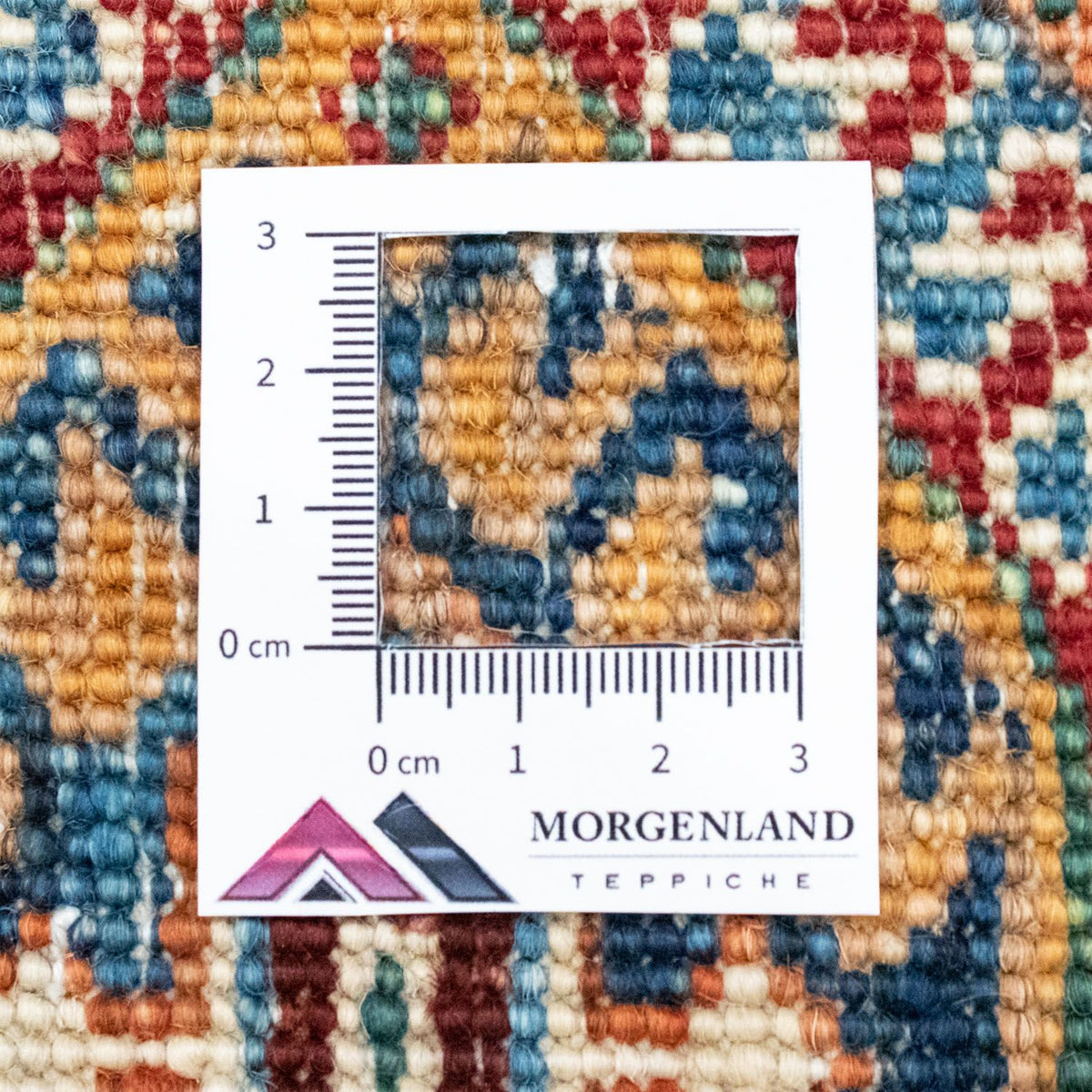 Tappeto Ziegler - 237 x 168 cm - multicolore