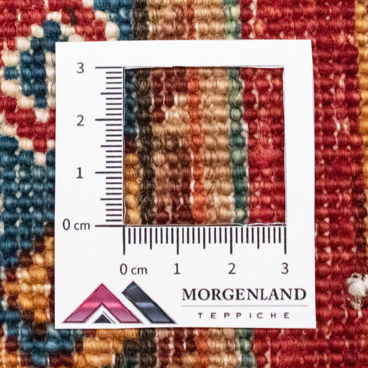 Tappeto Ziegler - 243 x 170 cm - multicolore