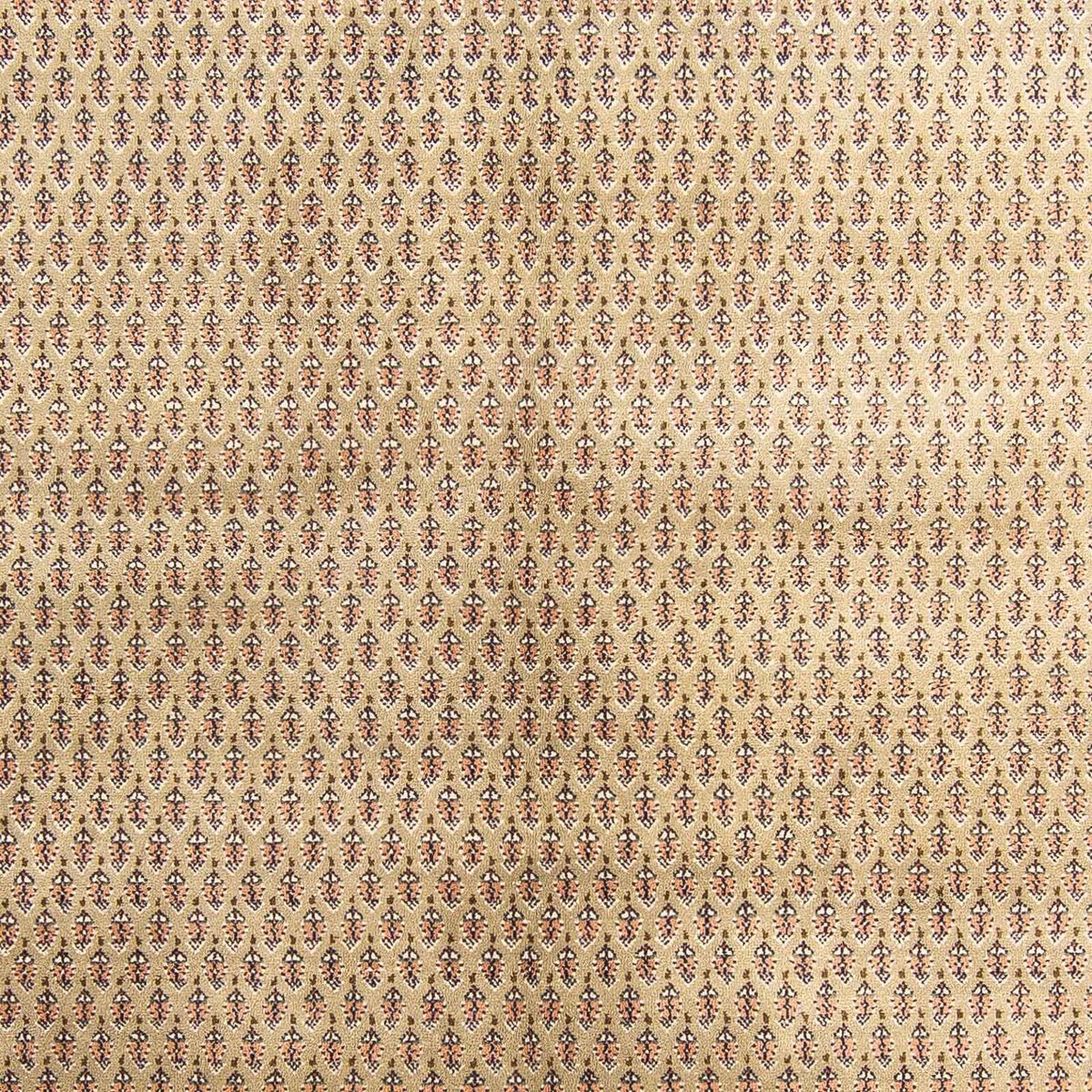 Tappeto orientale - Mir - Indus - 238 x 176 cm - beige chiaro