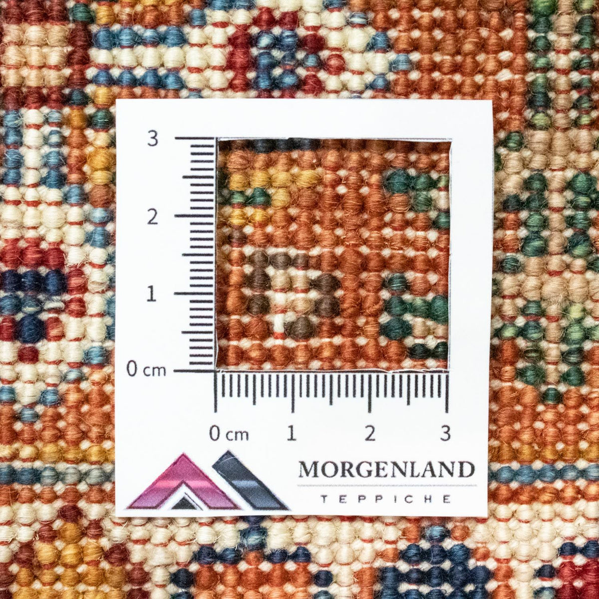 Tappeto Ziegler - 252 x 180 cm - multicolore