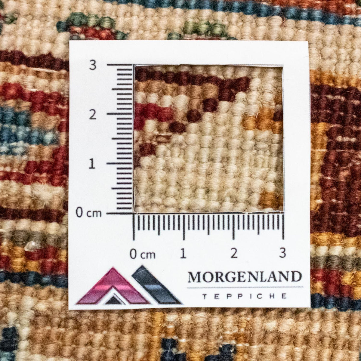 Tappeto Ziegler - 263 x 181 cm - multicolore