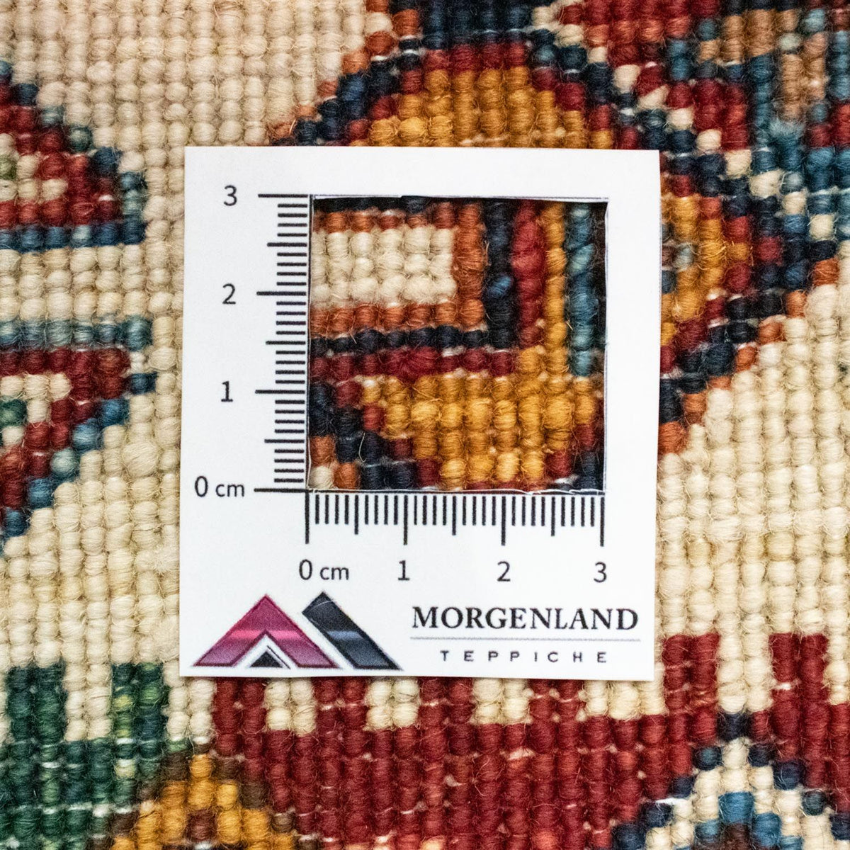 Tappeto Ziegler - 241 x 174 cm - multicolore