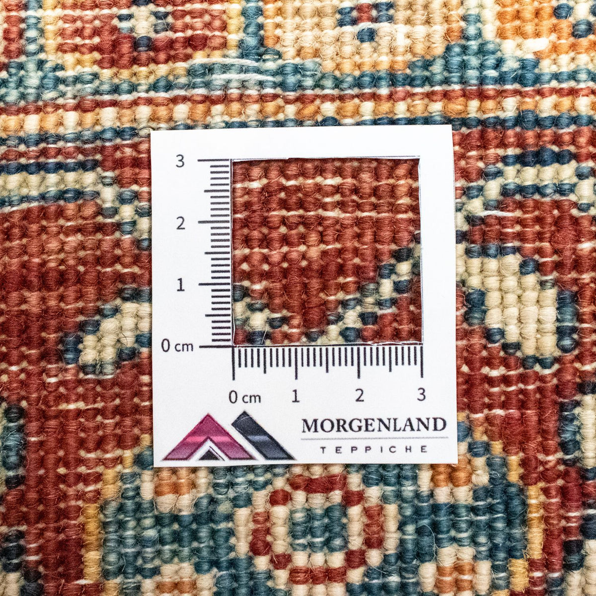 Tappeto Ziegler - 239 x 182 cm - colorato