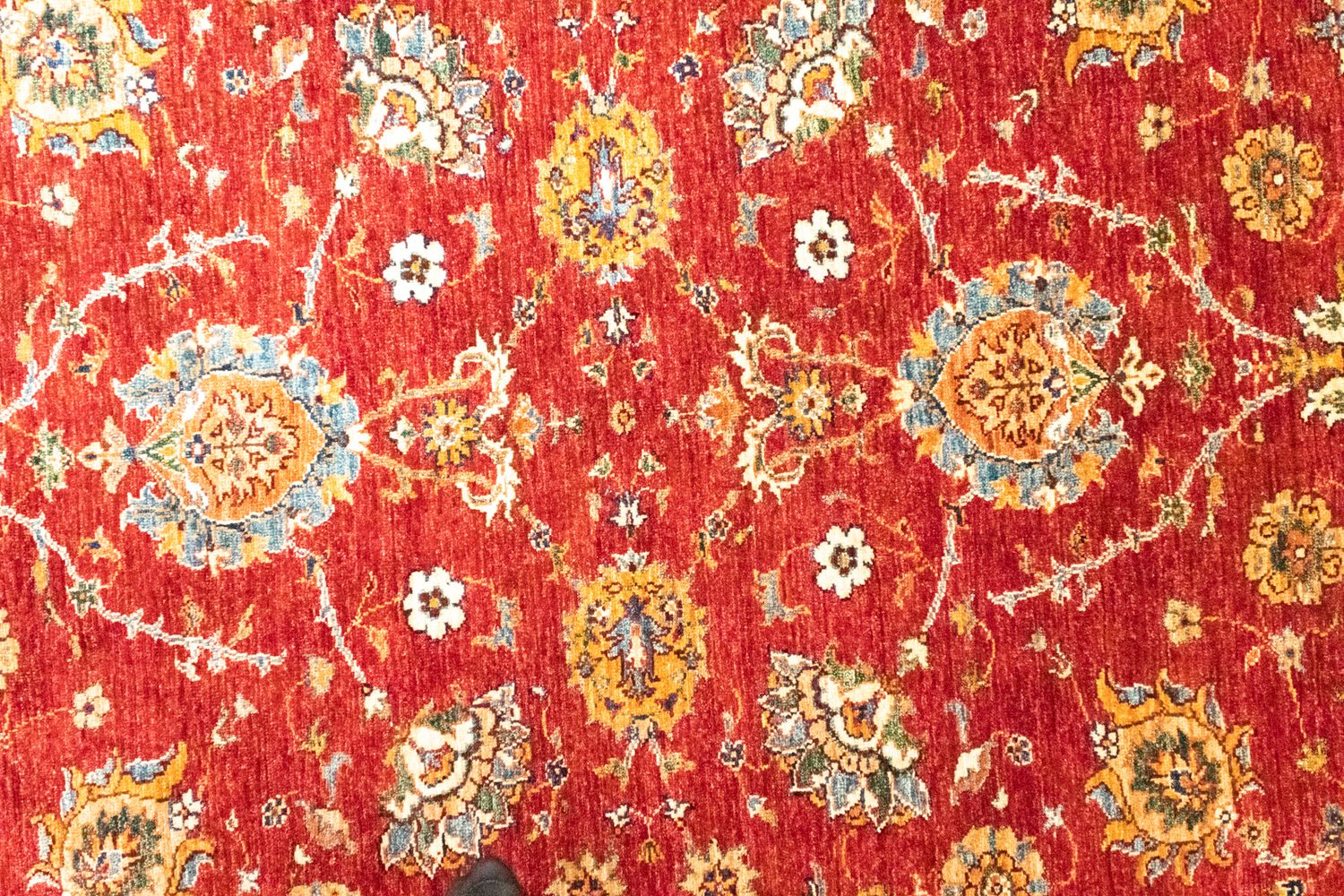 Tappeto Ziegler - 242 x 177 cm - rosso