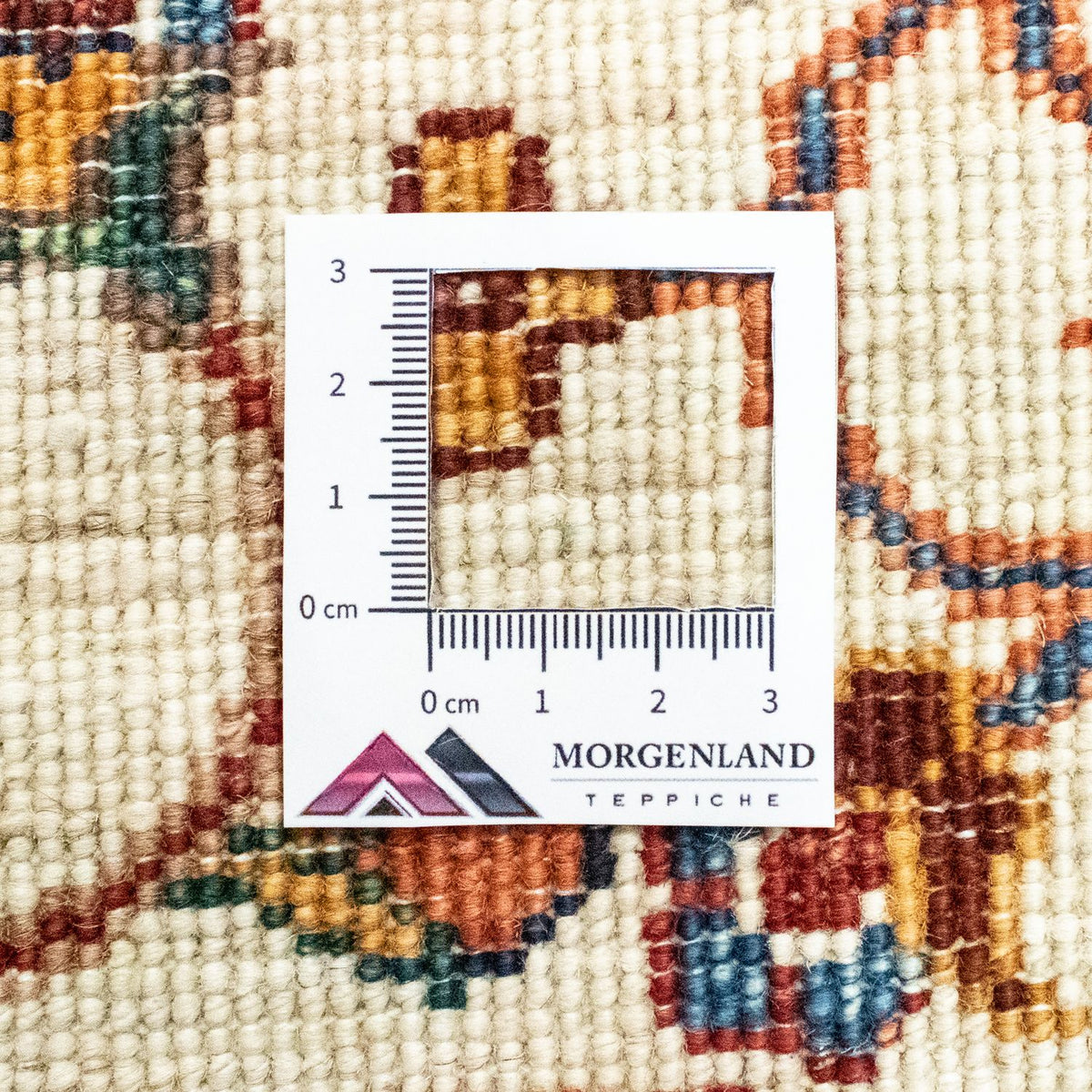 Tappeto Ziegler - 241 x 175 cm - blu