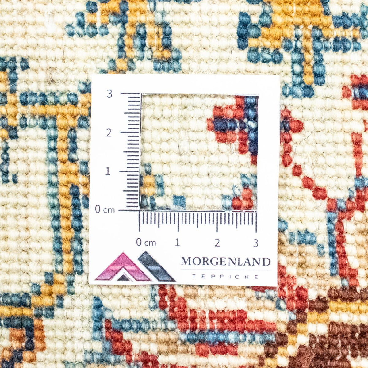 Tappeto Ziegler - 255 x 180 cm - blu