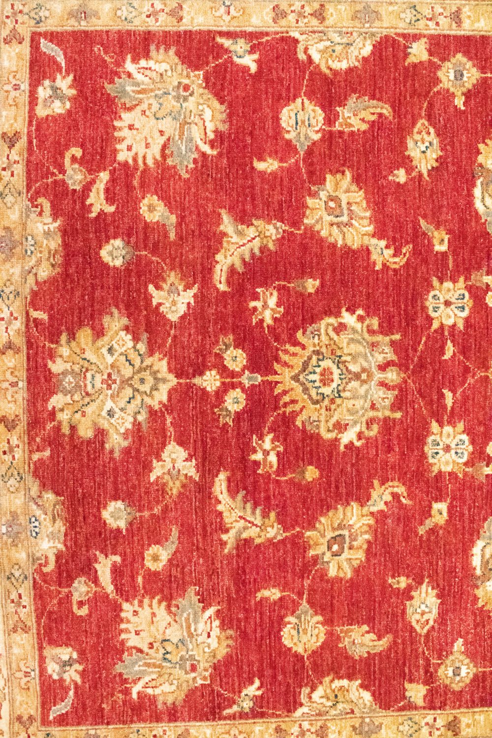 Tappeto Ziegler - 202 x 150 cm - rosso