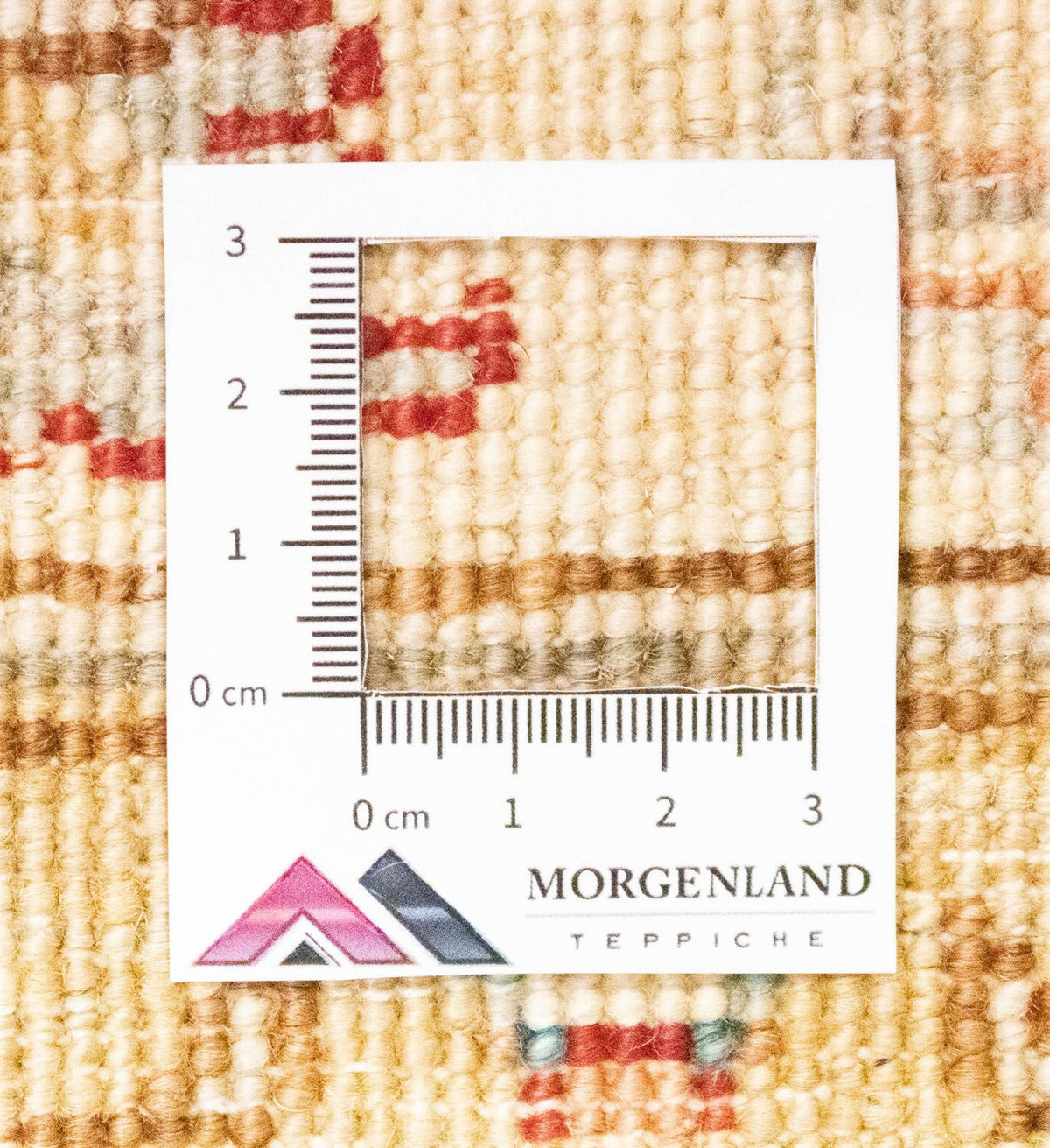 Tappeto Ziegler - 204 x 152 cm - blu