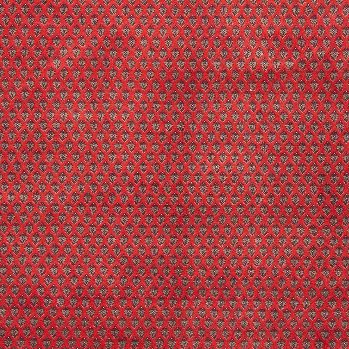 Tappeto orientale - Mir - Indus - 239 x 173 cm - rosso