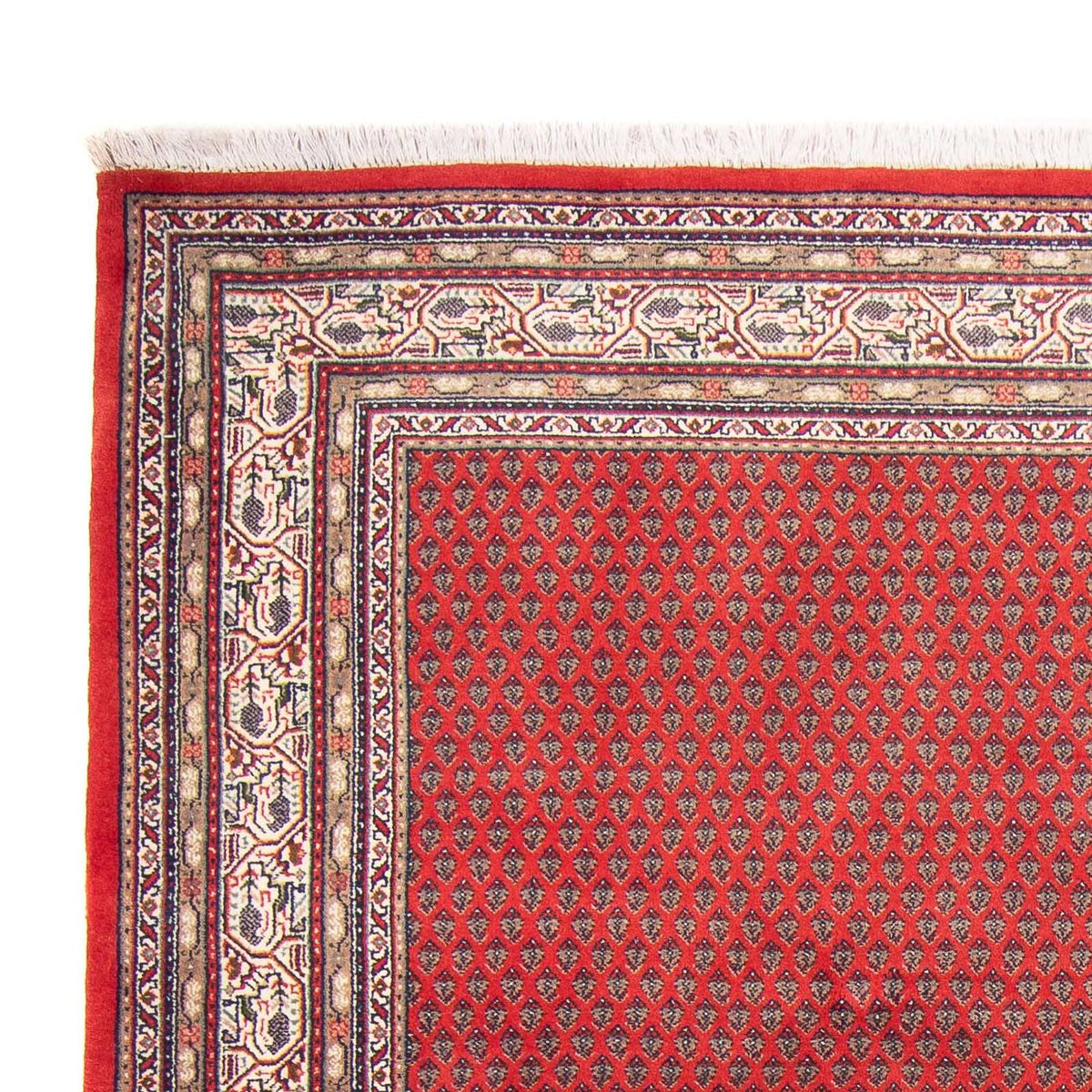 Tappeto orientale - Mir - Indus - 239 x 173 cm - rosso