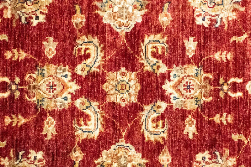 Tappeto Ziegler - 153 x 93 cm - rosso