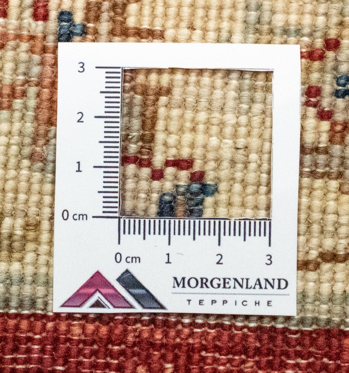 Tappeto Ziegler - 152 x 88 cm - rosso