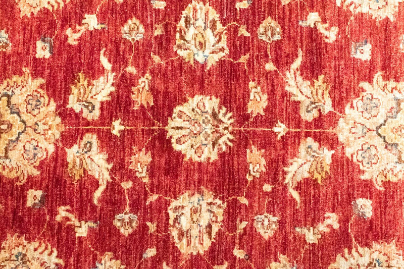 Tappeto Ziegler - 153 x 101 cm - rosso