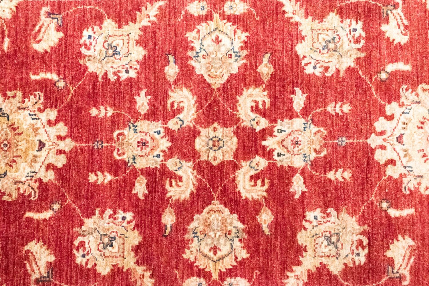 Tappeto Ziegler - 151 x 91 cm - rosso