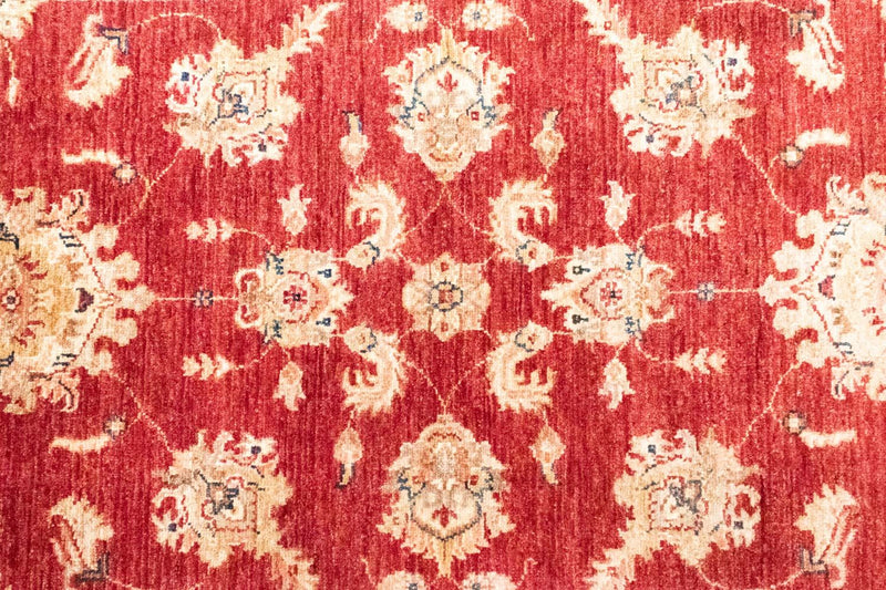 Tappeto Ziegler - 151 x 91 cm - rosso