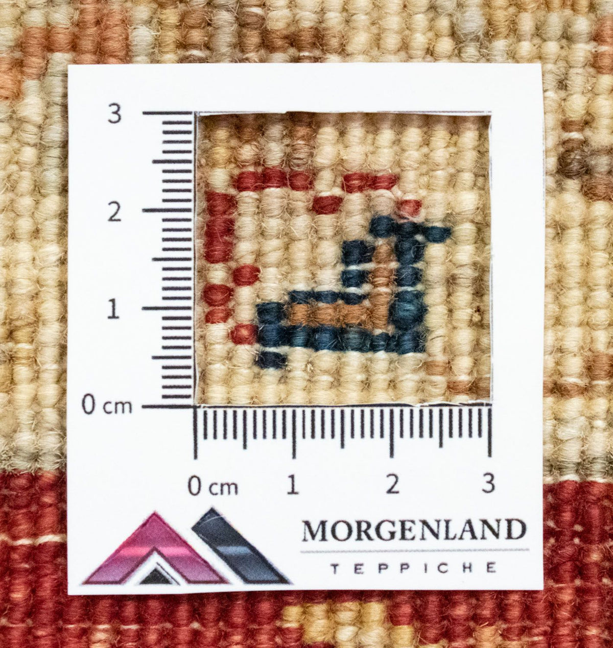 Tappeto Ziegler - 151 x 91 cm - rosso