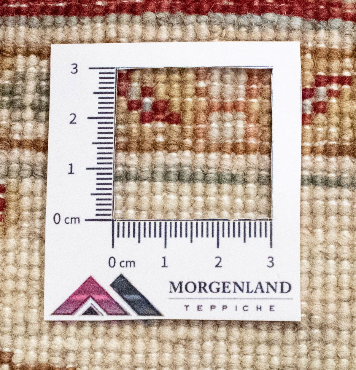 Tappeto Ziegler - 121 x 77 cm - beige