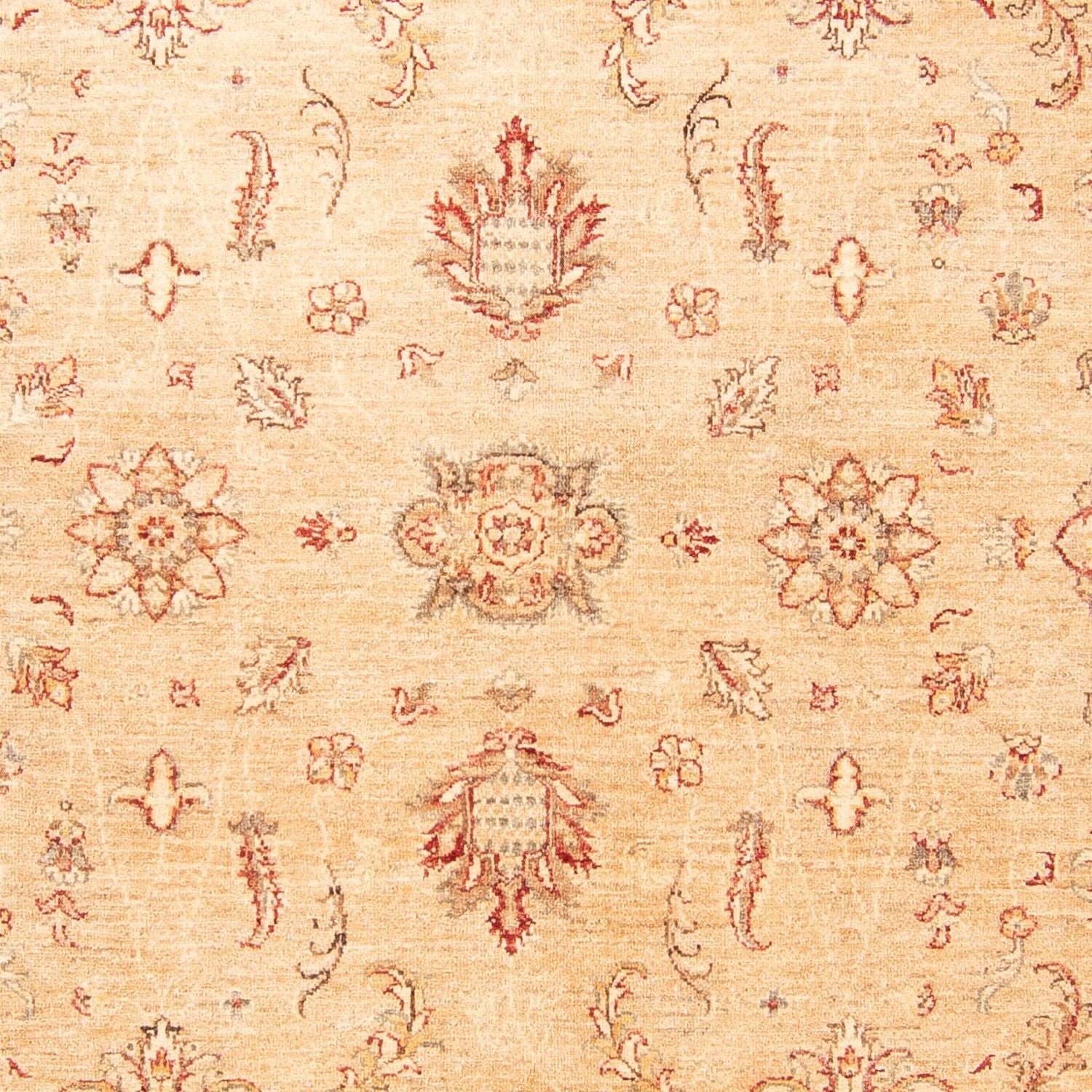 Tappeto Ziegler - 292 x 209 cm - beige